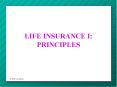 LIFE INSURANCE I: PRINCIPLES
