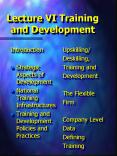 Lecture VI Training and Development
