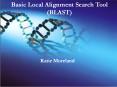 Basic Local Alignment Search Tool BLAST