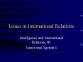 Issues in International Relations