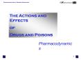 The Actions and Effects
