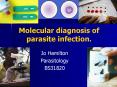 Molecular diagnosis of parasite infection.