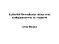 EpithelialMesenchymal interactions during embryonic development