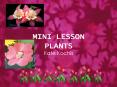 MINI LESSON PLANTS