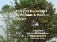 Forestry Herbicide Symptoms