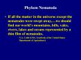 Phylum Nematoda