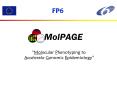 FP6
