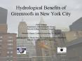 Hydrological Benefits of Greenroofs in New York City