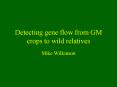 Detecting gene flow from GM crops to wild relatives