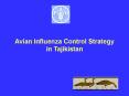 Avian Influenza Control Strategy in Tajikistan