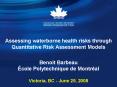 Assessing waterborne health risks through Quantitative Risk Assessment Models