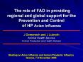 The role of FAO in providing regional and global support for the Prevention and Control of HP Avian Influenza  J Domenech and J Lubroth Animal Health Service Animal Production and Health Division