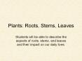 Plants: Roots, Stems, Leaves