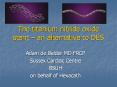 The titanium nitride oxide stent an alternative to DES