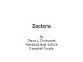 Bacteria