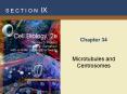 Introduction to Physiology: The Cell and General Physiology