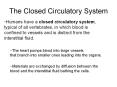 The Closed Circulatory System