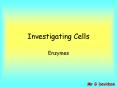 Investigating Cells