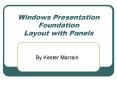 Windows Presentation Foundation Layout with Panels