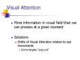 Visual Attention