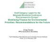 Draft Category I paper for the Belgrade Ministerial Conference Environment for Europe: Mobilising Fi