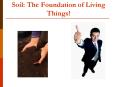 Soil: The Foundation of Living Things