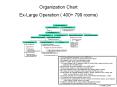 Organization Chart ExLarge Operation 400 799 rooms