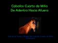 Caballos Cuarto de Milla De Adentro Hacia Afuera
