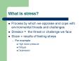 What is stress