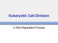 Eukaryotic Cell Division