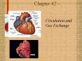 Circulation and Gas Exchange