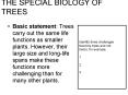 THE SPECIAL BIOLOGY OF TREES