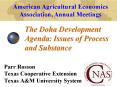 The Doha Development Agenda: Issues of Process and Substance