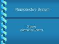 Reproductive System