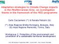 Adaptation strategies to Climate Change impacts in the Mediterranean Area: an investigation theme in the framework of the MED programme