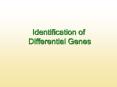 Identification of Differential Genes