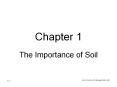 The Importance of Soil