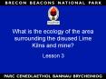 What is the ecology of the area surrounding the disused Lime Kilns and mine?