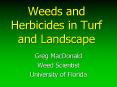 Weeds and Herbicides in Turf and Landscape