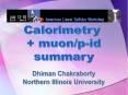 Calorimetry