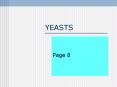 YEASTS