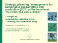 Strategic planning / management for sustainable consumption and production (SCP) at the local level - the context and some examples