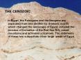 THE CENOZOIC