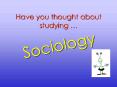 Have you thought about studying