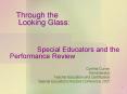 Through the Looking Glass: Special Educators and the Performance Review
