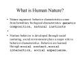 What is Human Nature