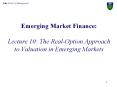 Emerging Market Finance: Lecture 10: The Real-Option Approach to Valuation in Emerging Markets