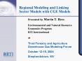 Regional Modeling and Linking Sector Models with CGE Models