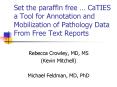 Set the paraffin free CaTIES a Tool for Annotation and Mobilization of Pathology Data From Free Text