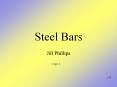 Steel Bars